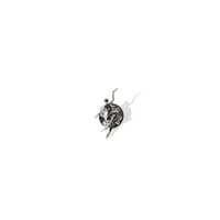 POLAR SKATE CO.  PIN | NO COMPLIES FOREVER
