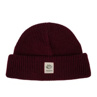 MAGENTA SKATEBOARDS  FAM BEANIE - BURGUNDY