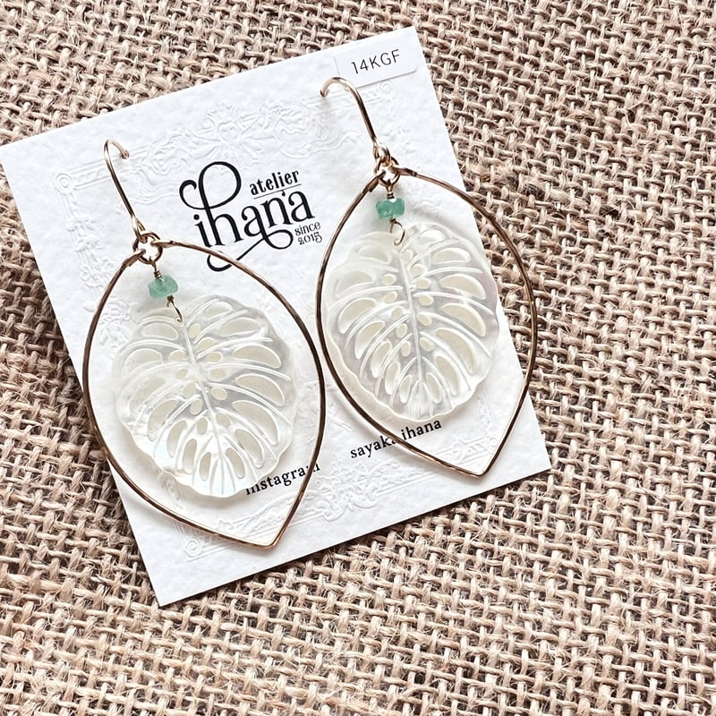 14kgf ホワイトシェル  (モンステラ) 14kgf ホワイトシェル (モンステラ)