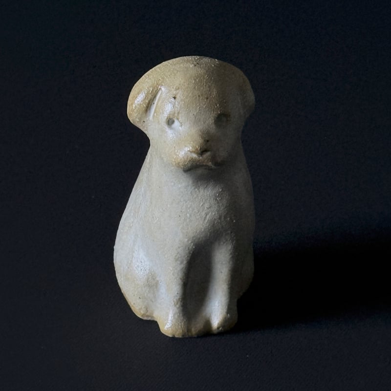 tenohira_inu（石垣島の犬） kn_2 | P. for niŭ