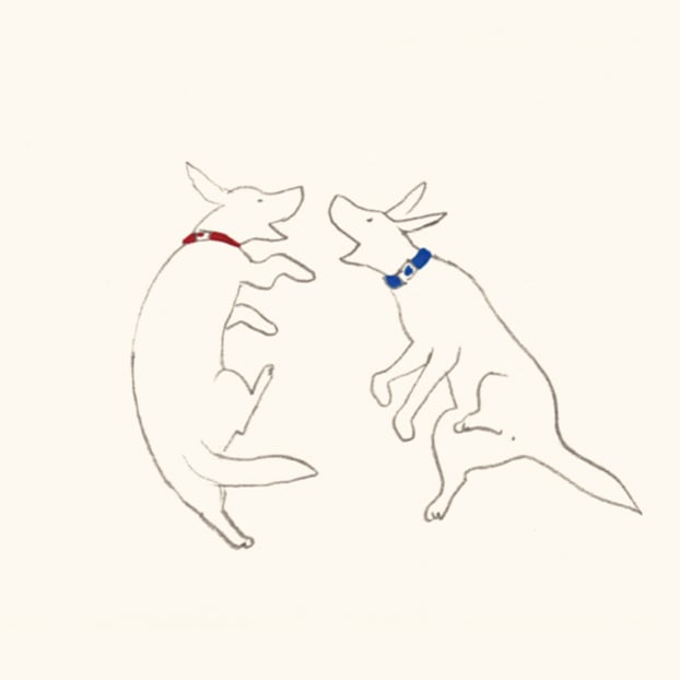 はじめて飾るドローイング」ポストカード -しあわせな犬 | P