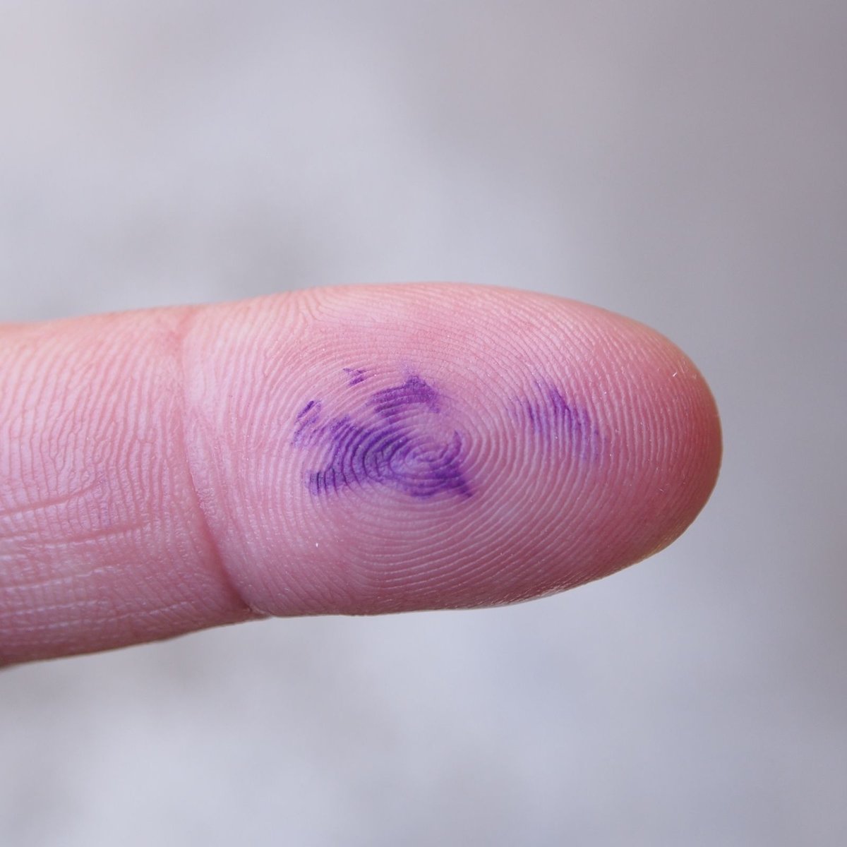 希少　ロッテリア　えんぴつ GLORIA KOPIERSTIFT ドイツ インデリブル・インク鉛筆 12本1