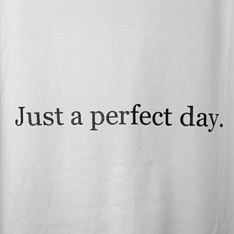 Just a parfect day SS TEE (WHT)