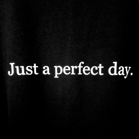 Just a parfect day SS TEE (BLK)