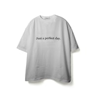 Just a parfect day SS TEE (WHT)