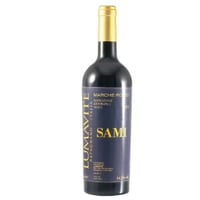 SAMI 2013