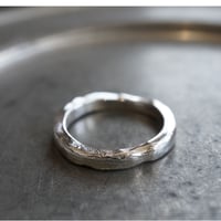 FS metal ring #21