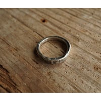 FSM RING #17