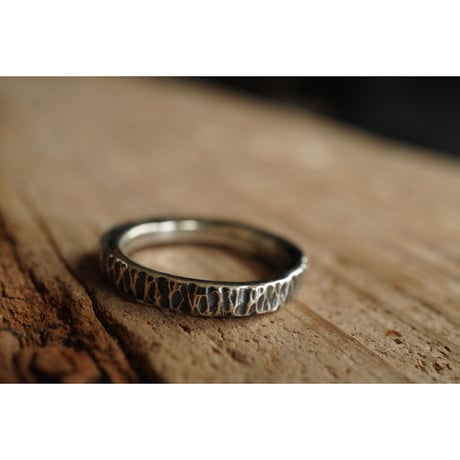 FSM RING #19