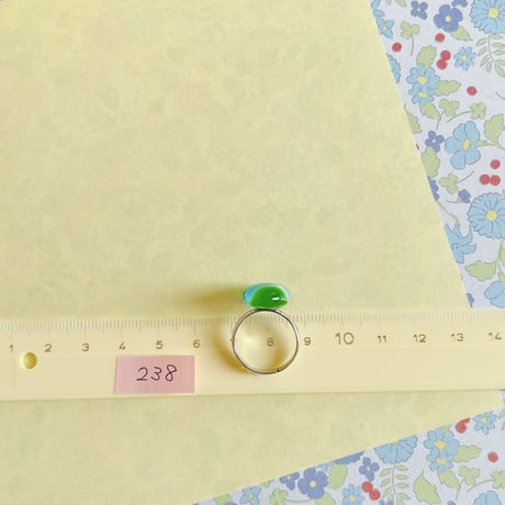 ガラスの指輪*238
