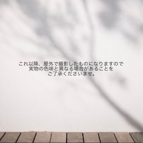 [9/28(月)～9/30(水)発送] ドット×レースSK
