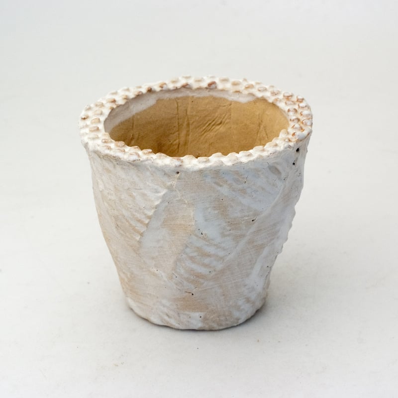 新品「多肉植物の欲しがる植木鉢」2.5号相当 特価24個セット 送料無料！ 陶器製（2号ポット相当）多肉植物の欲しがる植木鉢 OPSS-1356~10