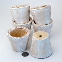 陶器製（2号ポット相当）多肉植物の欲しがる植木鉢　NSSS-6個セット