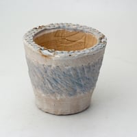 新品「多肉植物の欲しがる植木鉢」2.5号相当 特価24個セット 送料無料！ 多肉植物の欲しがる植木鉢 SMS-（2.5号相当） 24個セット