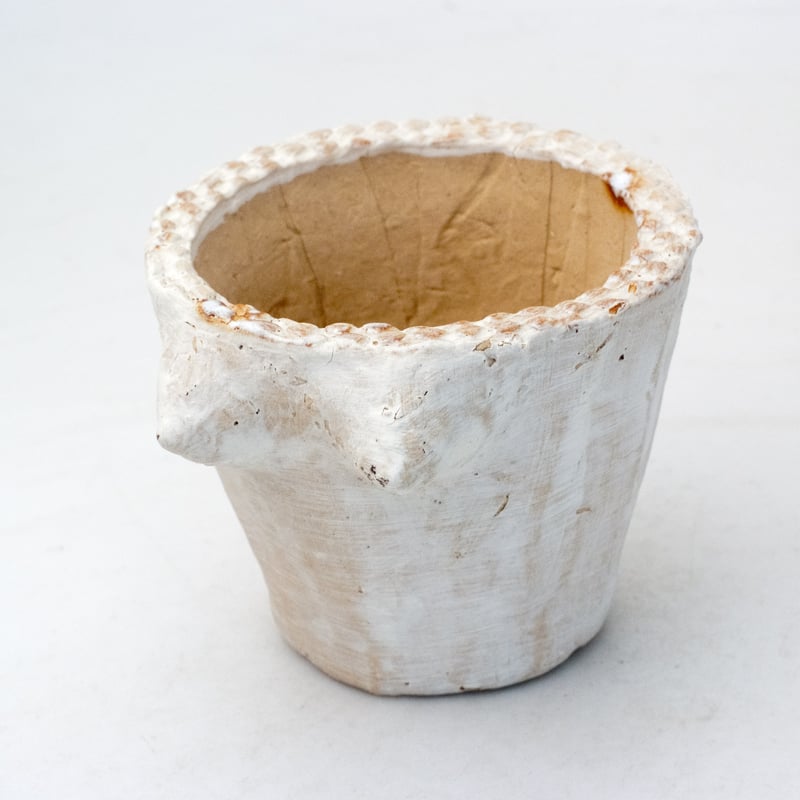 専用❤️速達付き同梱-200円多肉植物　リトープス　朝貢玉 鉢のまま 楽天市場】多肉植物 asリトープス 紫褐紫勲玉 多肉植物 6cm