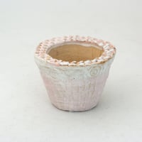 陶器製（1.5号ポット相当）多肉植物の欲しがる植木鉢 SMSSc-ピンク 2019