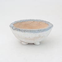 陶器製　多目的自由な植木鉢　CVc-ブルー2118