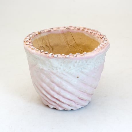 CATEGORY 2-2.5号鉢相当 | design &crafts POTS