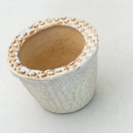 陶器製（1.5号ポット相当）多肉植物の欲しがる植木鉢 SMSSc-イエロー 2020