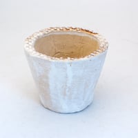 陶器製（2.5号ポット相当）多肉植物の欲しがる植木鉢 SMS-2256