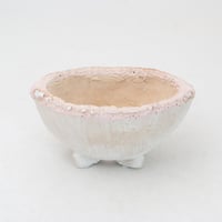 陶器製　多目的自由な植木鉢　CVc-ピンク2123