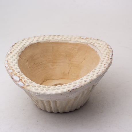 陶器製　多肉植物の欲しがる植木鉢 CCcd 曲-イエロー1892