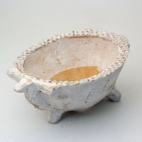 陶器製　多肉植物の欲しがる植木鉢 COW-M-9416
