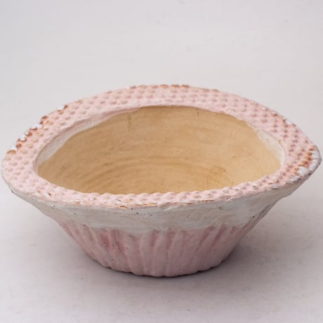 新品「多肉植物の欲しがる植木鉢」3号相当 特価12個セット 送料無料！ 楽天市場】多肉植物の寄せ植え・3号ポット※カラーPOT（色お任せ）の