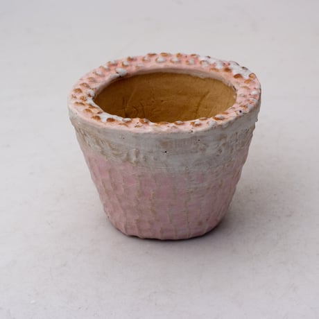 新品「多肉植物の欲しがる植木鉢」2.5号相当 特価24個セット 送料無料！ design &crafts POTS 多肉植物の欲しがる植木鉢 2.5号24個20%off