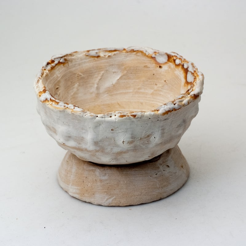 陶器製 多肉植物の欲しがる植木鉢 WMd-9494 | design &crafts POTS