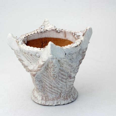 CATEGORY 変わり鉢 | design &crafts POTS