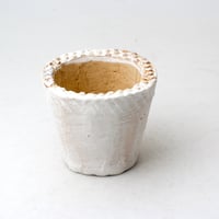 陶器製（2号ポット相当）多肉植物の欲しがる植木鉢 NSSS-2328