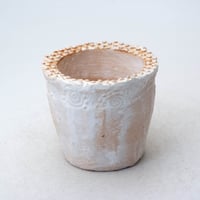 陶器製（2号ポット相当）多肉植物の欲しがる植木鉢 SSS-8466
