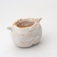 陶器製　多目的自由な植木鉢 TGd-1761