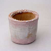 ・陶器製（2号ポット相当）多肉植物の欲しがる植木鉢 SSSc-ピンク1510