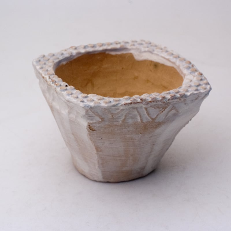 陶器製 多肉植物の欲しがる植木鉢 IBScd-ブルー-9742 | design