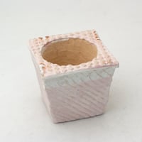 陶器製　多肉植物の欲しがる植木鉢 ICScd角-ピンク1727