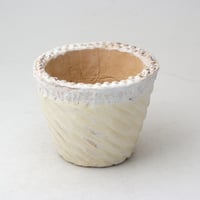 陶器製（2.5号ポット相当）多肉植物の欲しがる植木鉢 SMSc-イエロー2493
