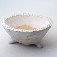 陶器製　多肉植物の欲しがる植木鉢 CWd-M-8489