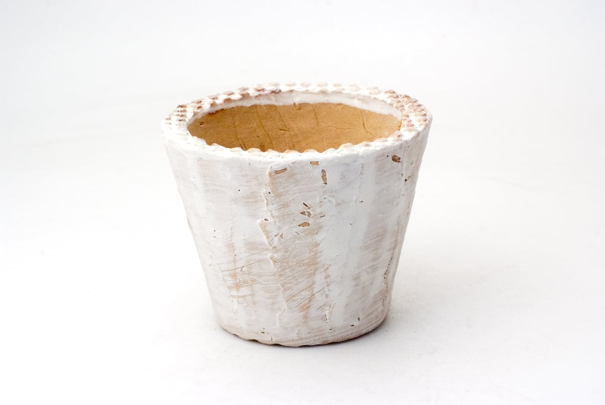 新品「多肉植物の欲しがる植木鉢」2.5号相当 特価24個セット 送料無料！ fit=scale-down,w=1200