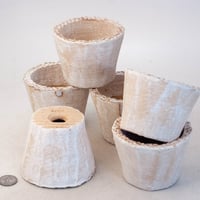 陶器製（2.5号ポット相当）多肉植物の欲しがる植木鉢 SMS-6個セット