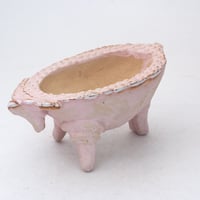 陶器製　多肉植物の欲しがる植木鉢 COW-SS-1958