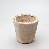 陶器製（２号ポット相当）多肉植物の欲しがる植木鉢　 AAA-2270