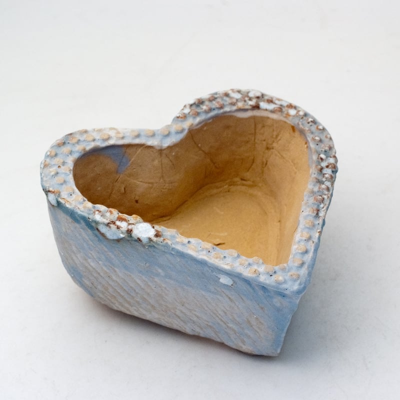 多肉植物の欲しがる植木鉢-ときめき チビ-ブルー-1275~10/31