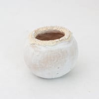 陶器製　多目的自由な植木鉢 TGc-イエロー2124