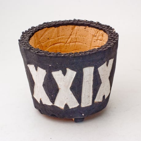 CATEGORY 3号鉢相当 | design &crafts POTS