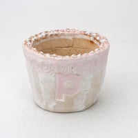 陶器製（2号ポット相当）多肉植物の欲しがる植木鉢 PSc-ピンク 2064