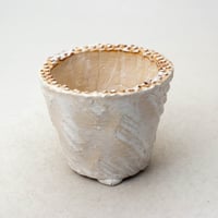陶器製（2.5号ポット相当）多肉植物の欲しがる植木鉢 OPSd-8432