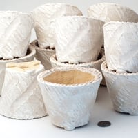多肉植物の欲しがる植木鉢　OPMd-(3号相当) 12個セット