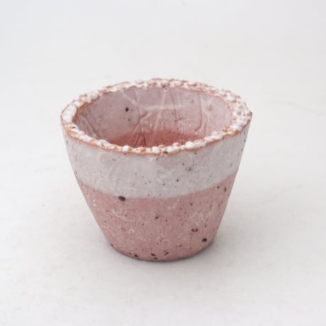 陶器鉢 2つセット 観葉植物 7号4号 2鉢セット 陶器鉢植え 選べる品種 おしゃれ お祝い